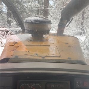 Meet your Posher, Amelia